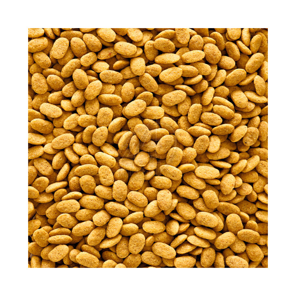 Versele-Laga Nutribird P15 Original Parrots 1 kg