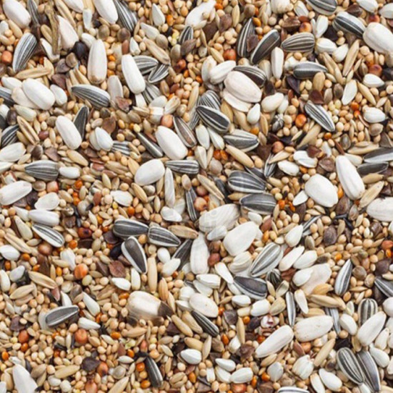 Deli Nature Large Parakeets with sunflowerseeds 20 kg