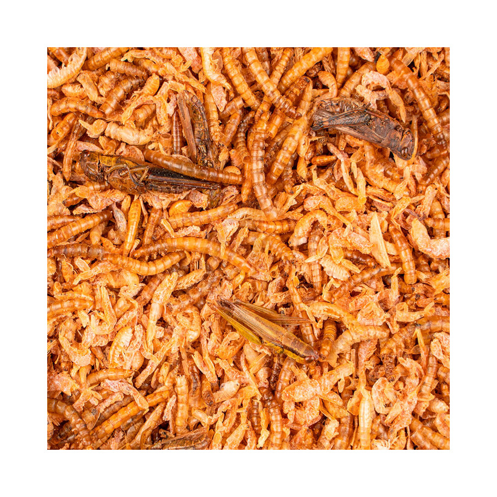 Deli Nature Chix Hyönteismix 180g