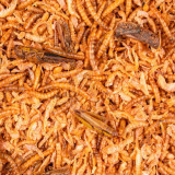 Deli Nature Chix Hyönteismix 180g