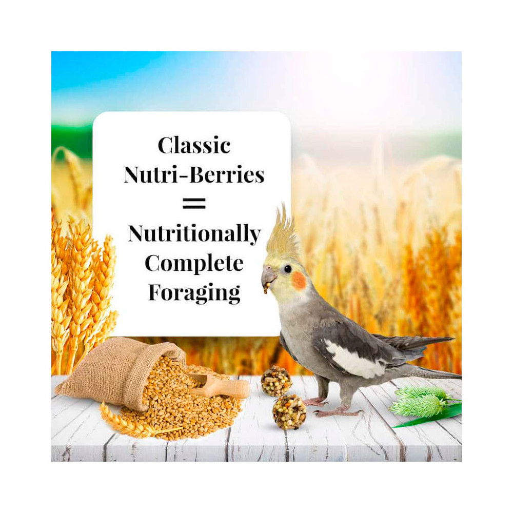 Lafeber Classic Nutri-Berries 284g