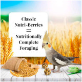 Lafeber Classic Nutri-Berries 284g