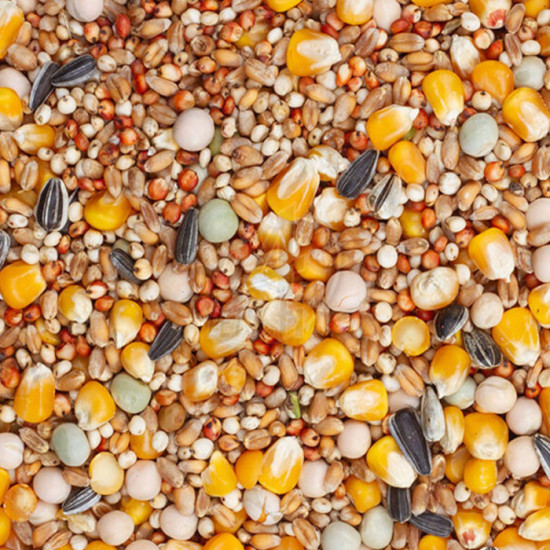 Beyers Racing 25 kg ONLY PICKUP