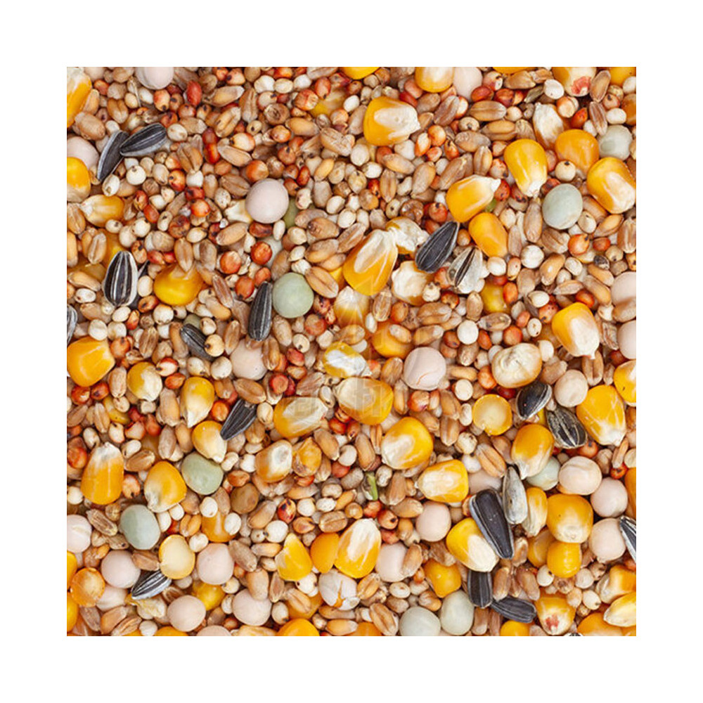 Beyers Racing 25 kg ONLY PICKUP