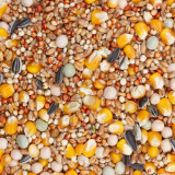 Beyers Racing 25 kg ONLY PICKUP