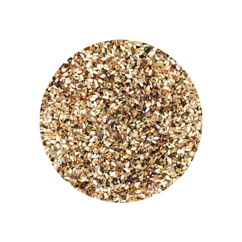 Versele-Laga Colombine Sneaky mixture 2 kg