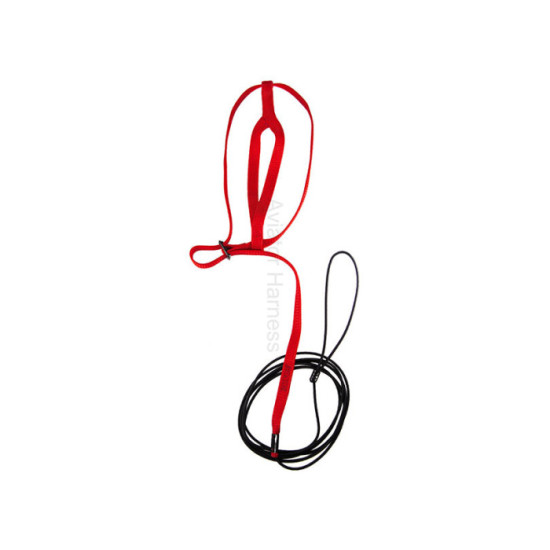 Aviator Harness lintuvaljaat Medium