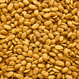 Versele-Laga Nutribird P15 Original Parrots 3 kg