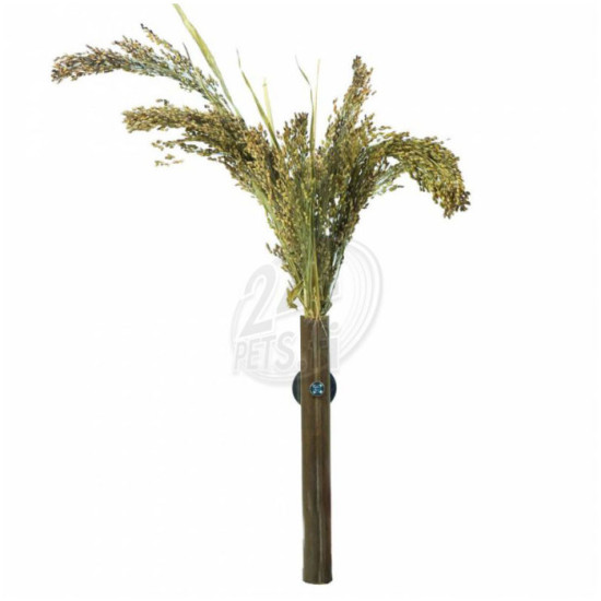 Nature Röyhyhirssi 40g 