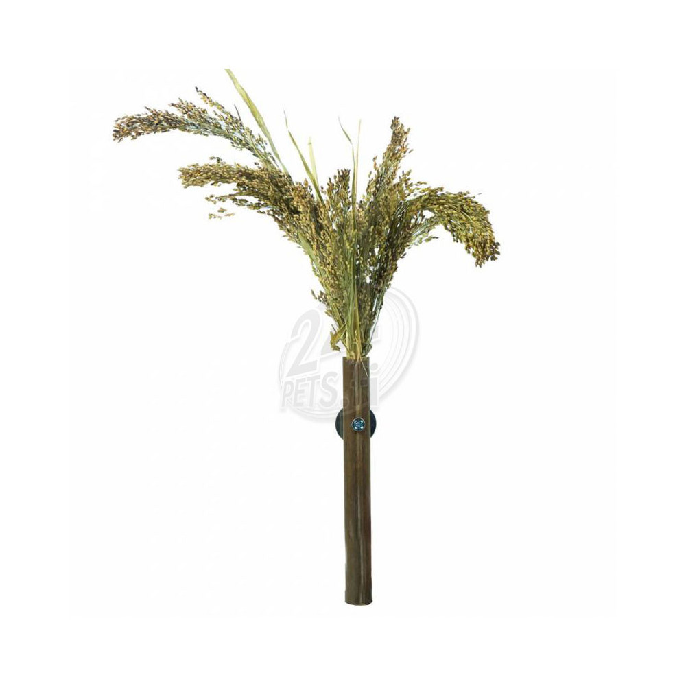 Nature Röyhyhirssi 40g 