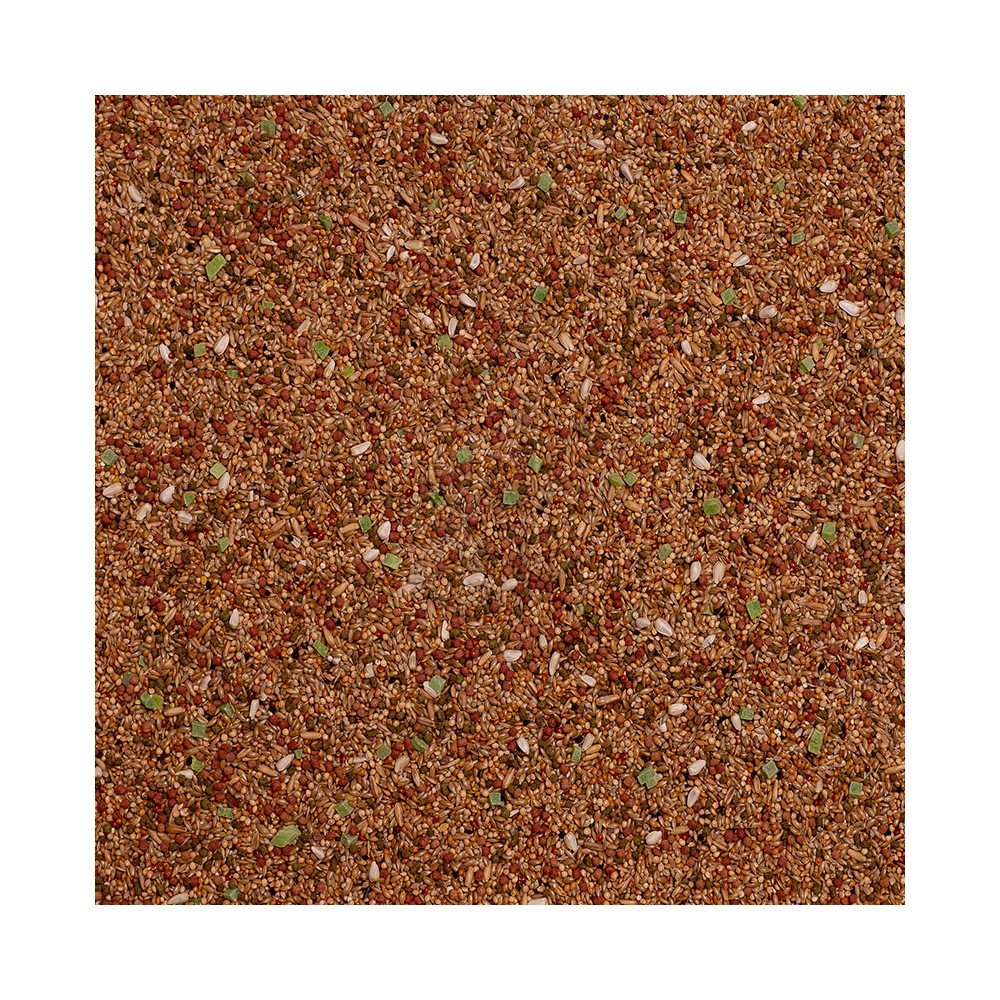 Deli Nature Birdelicious Budgies 800g