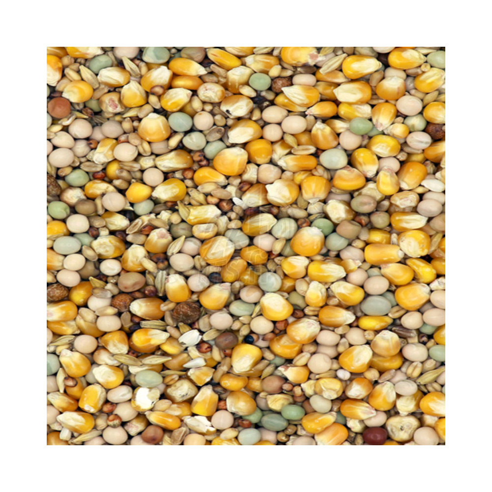 Classic 4 Seasons 20 kg