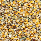 Classic 4 Seasons 20 kg