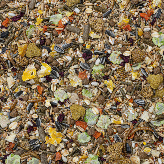 Deli Nature Rodelicious Dwarf Hamsters, Mice and Gerbils 750g