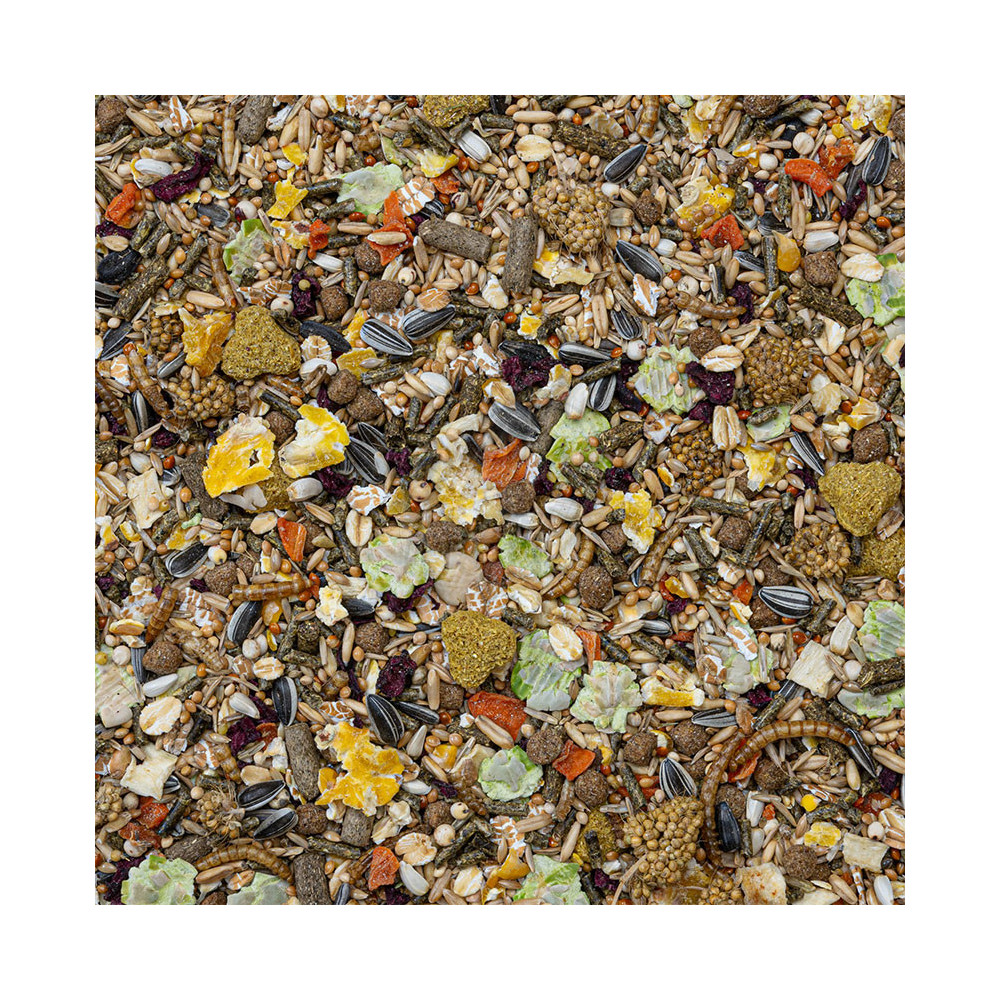 Deli Nature Rodelicious Dwarf Hamsters, Mice and Gerbils 750g