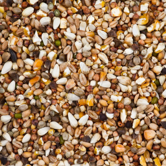 Deli Nature Dovix Turtle Doves 20 kg