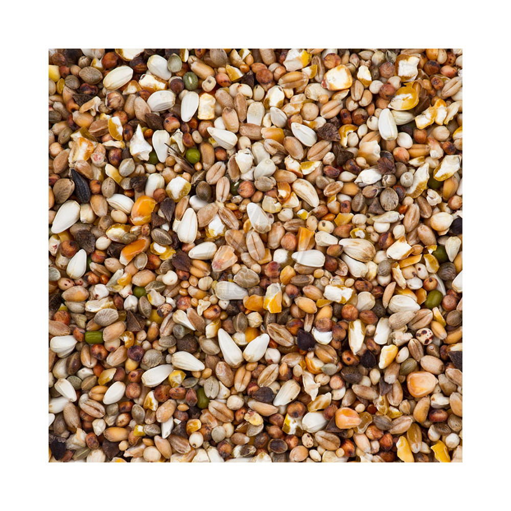 Deli Nature Dovix Turtle Doves 20 kg