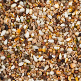 Deli Nature Dovix Turtle Doves 20 kg