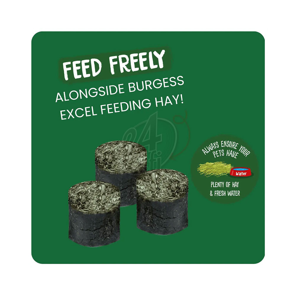 Burgess Excel Meadow Munchies 1 kg