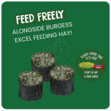 Burgess Excel Meadow Munchies 1 kg