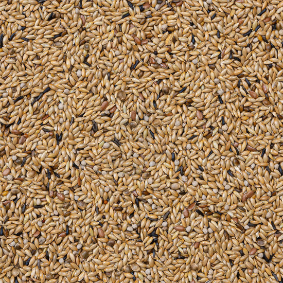 Deli Nature Canaries 20 kg