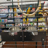 Aviary Set for parrots 2M2