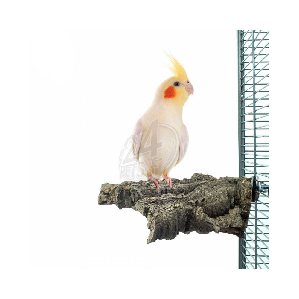 Nature Corky Chew Medium