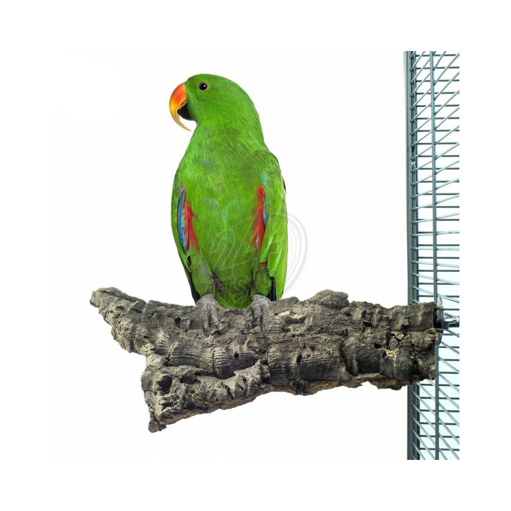 Nature Corky Chew Large