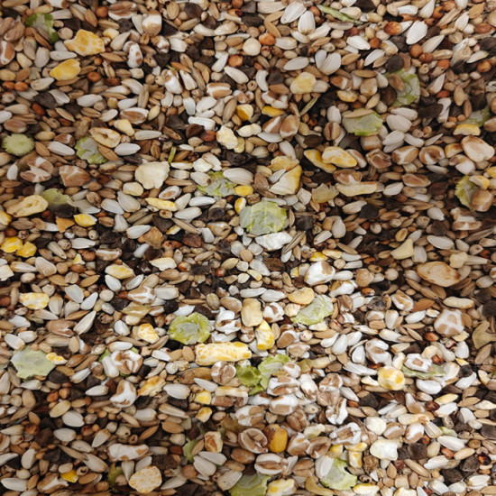 Versele-Laga Parrots Light 1 kg