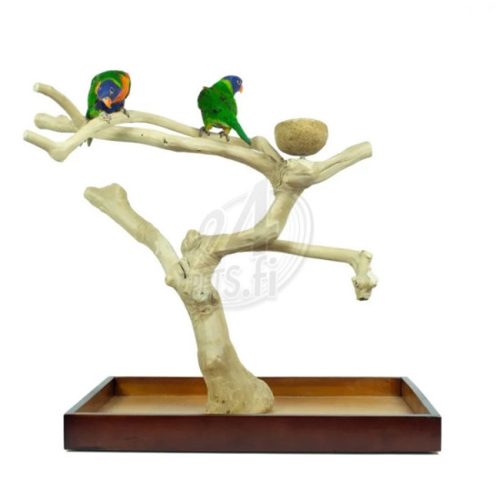 Nature Java Tree Playstand Medium 