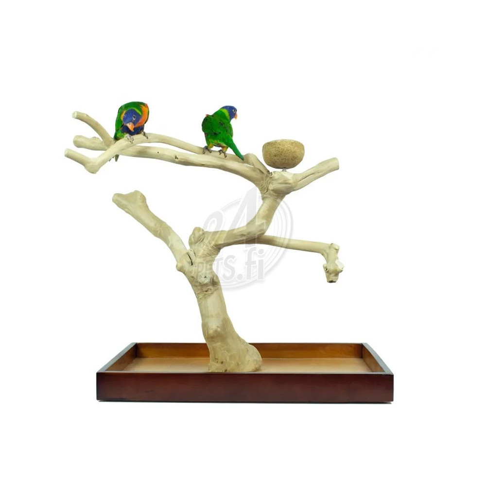 Nature Java Tree Playstand Medium 