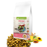 Askio Nature Energy Formula 10 kg