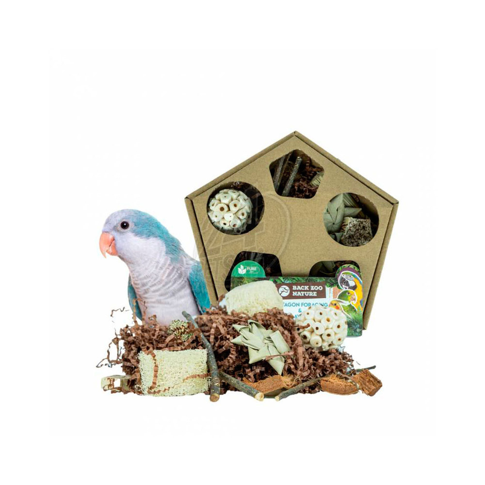Nature Pentagon Foraging and Play Box