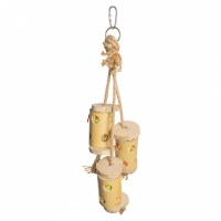 back-zoo-nature-bamboo-forager