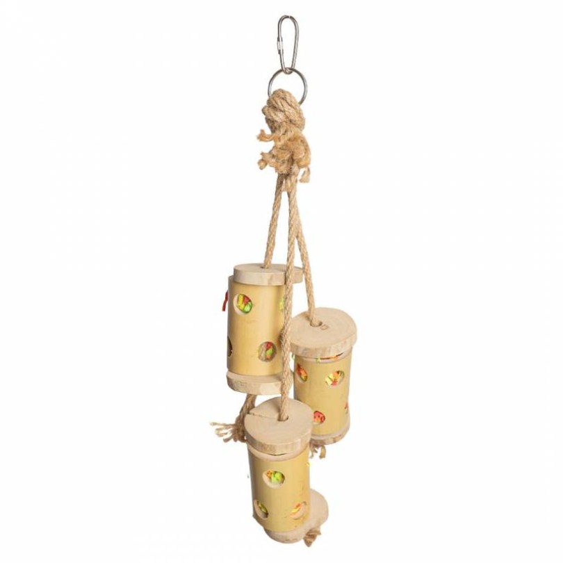 back-zoo-nature-bamboo-forager